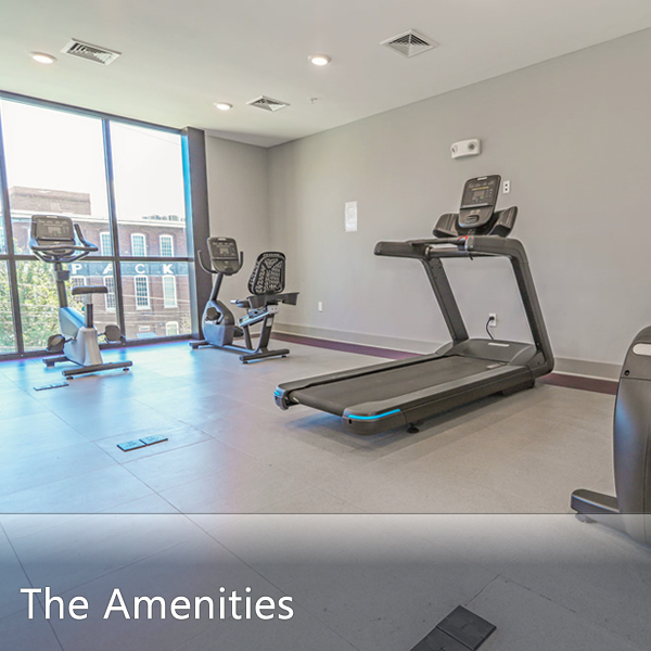 Features & Amenities